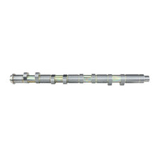 Load image into Gallery viewer, Skunk2 Racing Camshaft / Ultra BMF TLRC Series / Set of 2 / Honda / H Series / Stage 1 (305-05-6000)