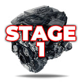 AMS Performance Nissan Z 3.0L VR30 Stage 1 Long Block (AMS.47.04.0501-1)