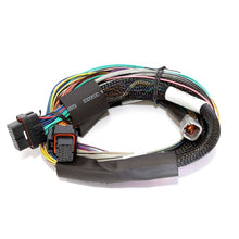 Load image into Gallery viewer, Haltech Elite 1500 - 2.5m (8 ft) Basic Uni Wire-in Harness Only (HT-140902)