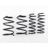 RS-R 2013 Ford Focus ST Down Sus Springs (FO200D)