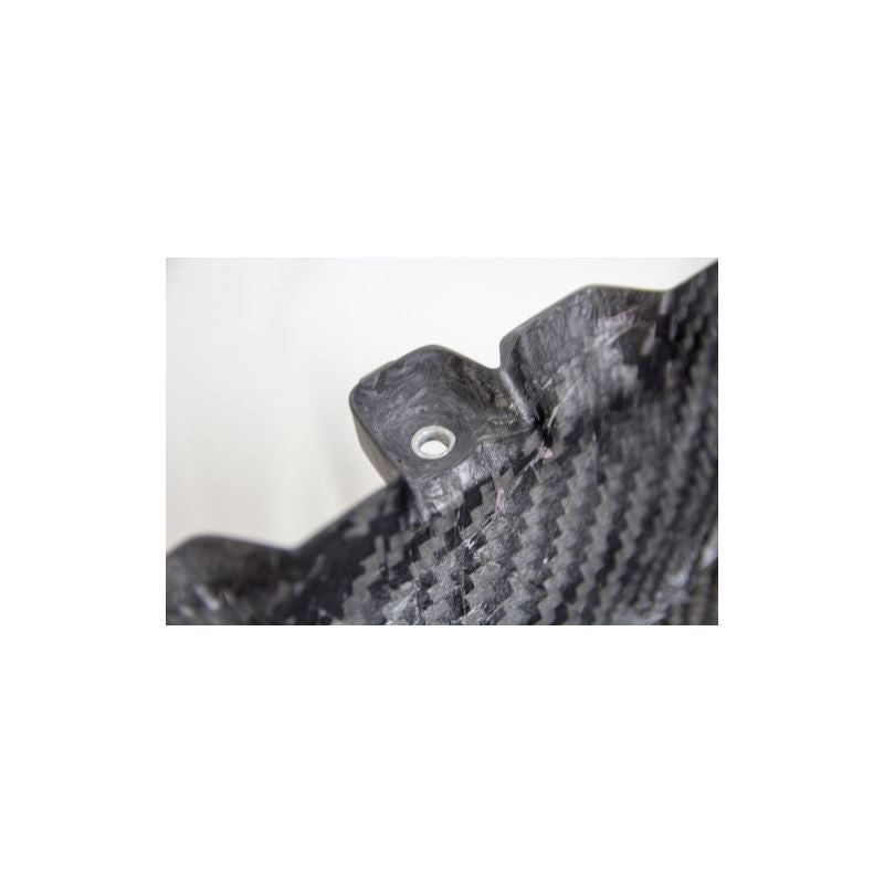 APR Carbon Fiber 2005-2009 Ford Mustang Engine Plenum Cover main image 1