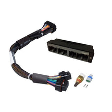Load image into Gallery viewer, Haltech Elite 1000/1500 PnP Ada Harn Only - Mitsu EVO 4-8 & 2G (GT-140823)