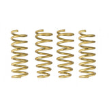 Ark Performance GT-S Lowering Springs (LS0704-0910)