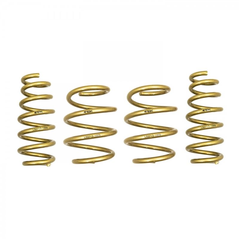 Ark Performance GT-S Lowering Springs, Hyundai Veloster N (LS0713-1900)