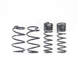 RS-R CROSSTREK DOWN SUS SPRINGS(F511W)