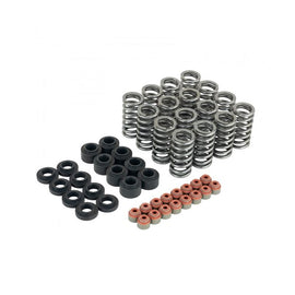 Skunk2 Honda L15B7 Ultra Valve Springs and Spring Base Kit (313-05-9400)