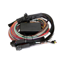 Load image into Gallery viewer, Haltech Elite 2500 + Premium Uni Wire-in Harness Kit 2.5m (8') (HT-151304)
