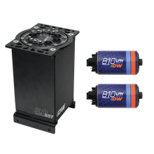 Load image into Gallery viewer, DeatschWerks 3.0L Staged Surge Tank w/ DW810 Fuel Pumps (6-811-30ST)