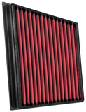 AEM Induction DryFlow Air Filter (28-20466)