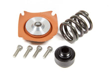 Load image into Gallery viewer, Aeromotive Fuel System Regulator Rebuild Kit - 13305 35-75psi .313 Seat - 13015