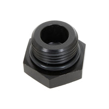 Load image into Gallery viewer, Aeromotive Fuel System -10an Port Plug - 15617