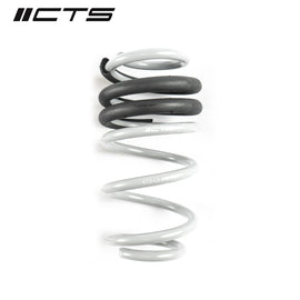 CTS Turbo B8/B8.5 Audi A4/S4 Lowering Spring Set (CTS-LS-012)