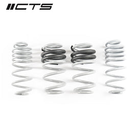 CTS Turbo B8/B8.5 Audi A4/S4 Lowering Spring Set (CTS-LS-012)