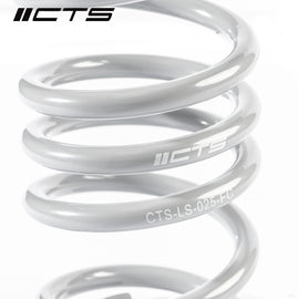CTS Turbo Audi B9/9.5 A4/S4/A5/S5/Allroad Lowering Springs (CTS-LS-025)
