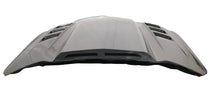 Load image into Gallery viewer, VIS Racing Double Sided Carbon Fiber Hood Terminator Style for Ford MUSTANG 2DR 2015-2017 (15FDMUS2DTM-010D)
