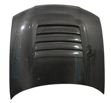 Load image into Gallery viewer, VIS Racing Carbon Fiber Hood Drift Style for Nissan SKYLINE R33 (GTR) 2DR 1995-1998 (95NSR33GTRDFT-010C)
