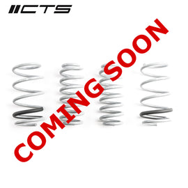 CTS Turbo 8Y Audi S3 Lowering Springs (CTS-LS-004)