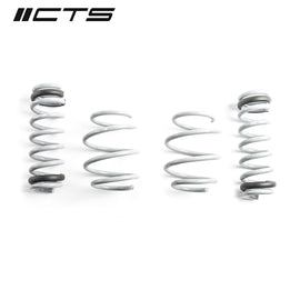 CTS Turbo G80 M3/M3 Competition Lowering Springs (CTS-LS-014)