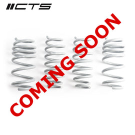 CTS Turbo Model 3 Long Range RWD (CTS-LS-020)