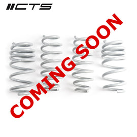 CTS Turbo Tesla Model 3 Performance AWD Lowering Springs (CTS-LS-021)