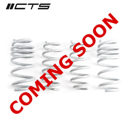 CTS Turbo Tesla Model 3 Standard Range/Standard Range Plus Lowering Springs (CTS-LS-022)