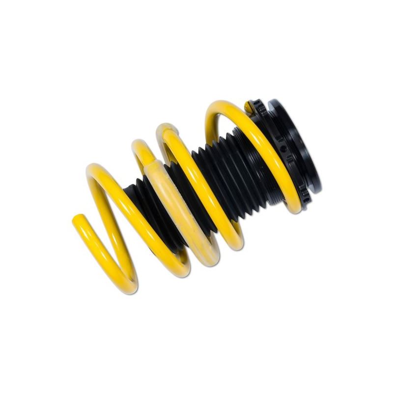 ST Suspension Adjustable Lowering Springs for BMW F31 3 Series Touring xDrive AWD (273200AE)