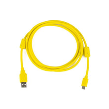 Load image into Gallery viewer, Haltech USB A to USB C Cable - 2.0M - Suits Nexus (HT-070021)