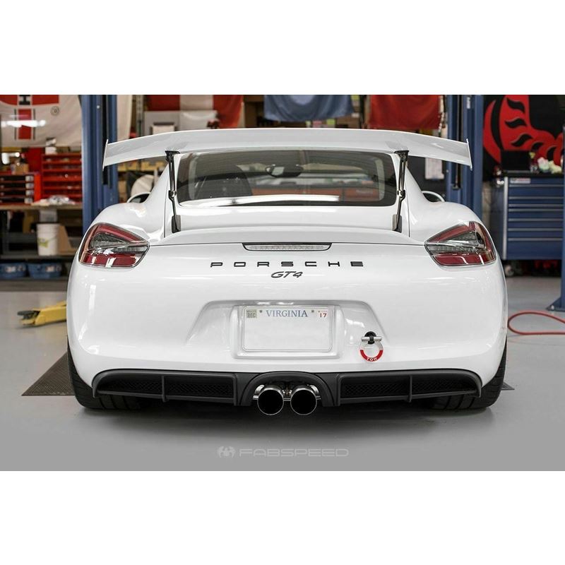 Fabspeed 981 Cayman GT4 Lightweight Competition Exhaust System (FS.POR.981GT4.CESBR)