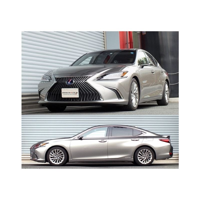 RS-R Down Sus Springs for 2019-2021 Lexus ES300H(T311D)