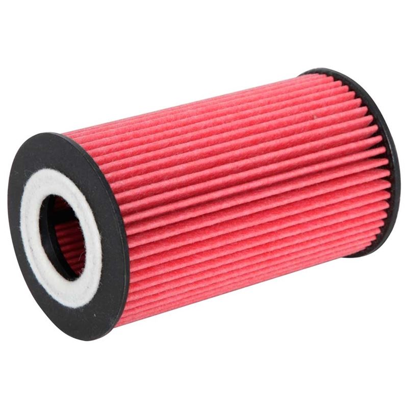 K&N Oil Filter (HP-7011)