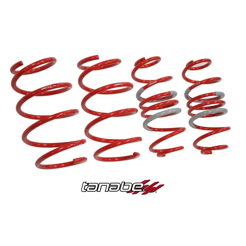 Tanabe DF210 Springs 10-10 Prius (TDF153)