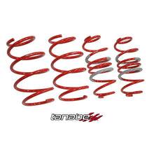 Load image into Gallery viewer, Tanabe DF210 Springs 10-10 Prius (TDF153)