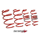 Tanabe DF210 Springs 10-10 Prius (TDF153)