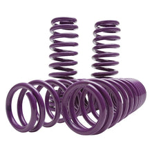 Load image into Gallery viewer, D2 Racing SP Lowering Springs (D-SP-HN-25-3)