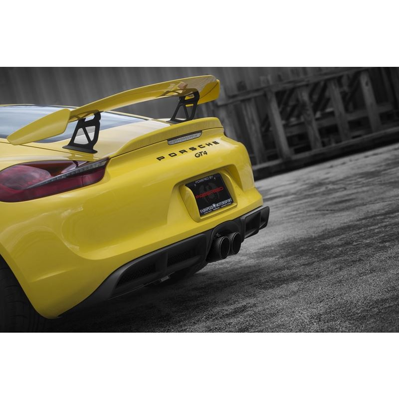 Fabspeed 981 Cayman GT4 Lightweight Competition Exhaust System (FS.POR.981GT4.CESB)