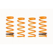 Load image into Gallery viewer, Ark Performance GT-F Lowering Springs (LF0600-0105)