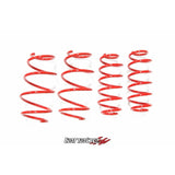 Tanabe NF210 Springs 10-15 Prius (TNF153)