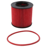 K&N Oil Filter (HP-7052)