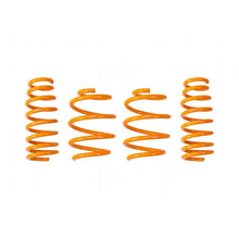 Load image into Gallery viewer, Ark Performance GT-F Lowering Springs (LF0702-0900)