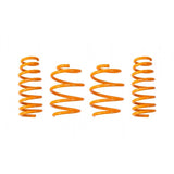 Ark Performance GT-F Lowering Springs (LF0702-0900)