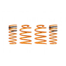 Load image into Gallery viewer, Ark Performance GT-F Lowering Springs (LF0800-0100)