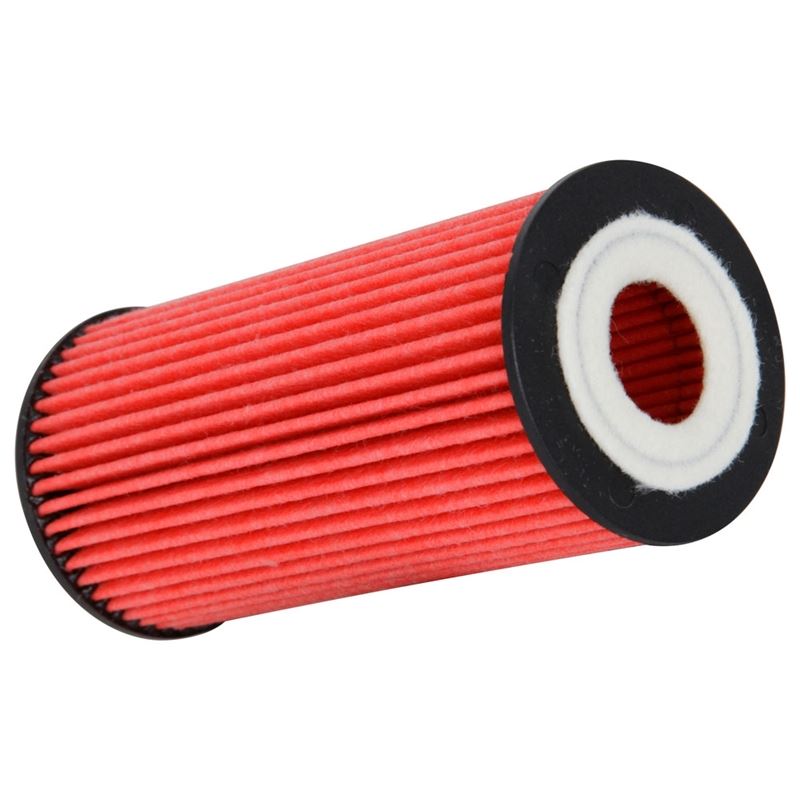 K&N Oil Filter for Audi/Volkswagen/Porsche (HP-7038)