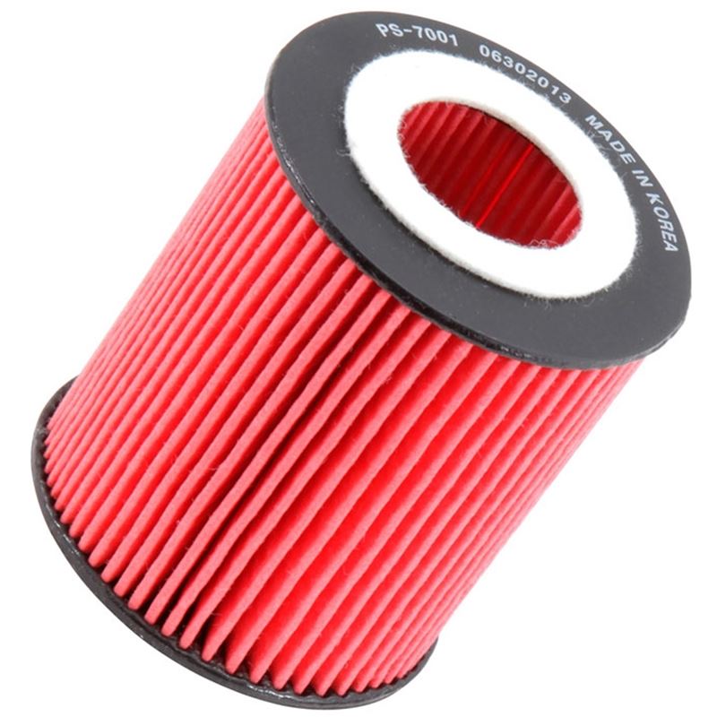 K&N High Flow Oil Filter (PS-7001)