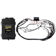 Load image into Gallery viewer, Haltech Elite 2500 GM GEN IV LS2 non DBW Terminated Harness Kit EV6 (HT-151365)