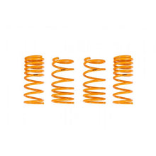 Load image into Gallery viewer, Ark Performance GT-F Lowering Springs (LF1202-0113)