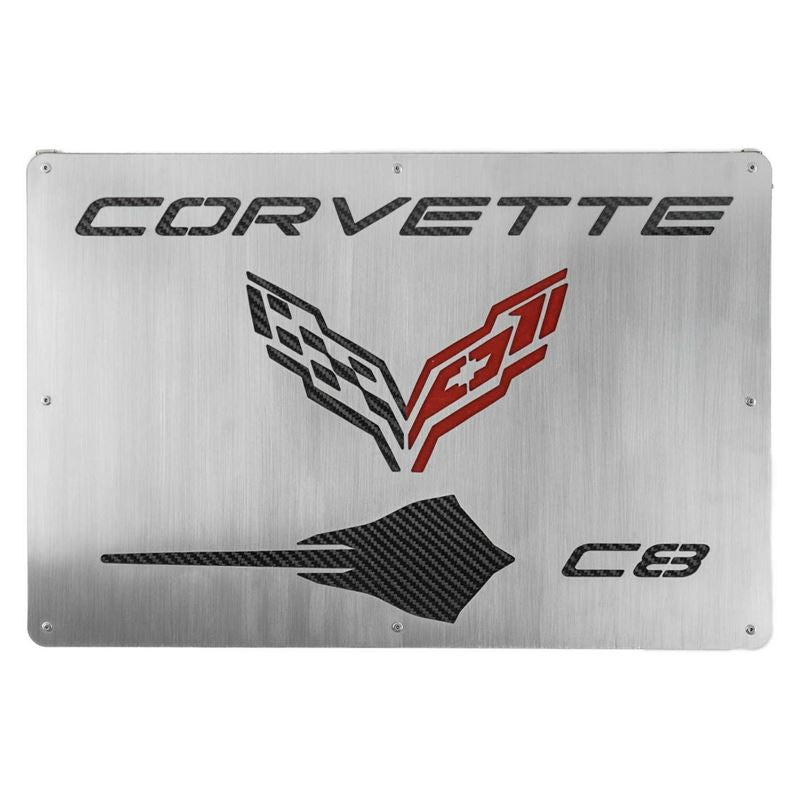 Fabspeed Carbon Fiber Wall Art - Corvette C8 Stingray (FS.C8.CFSSWA)