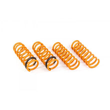 Load image into Gallery viewer, Ark Performance GT-F Lowering Springs (LF0704-0915)