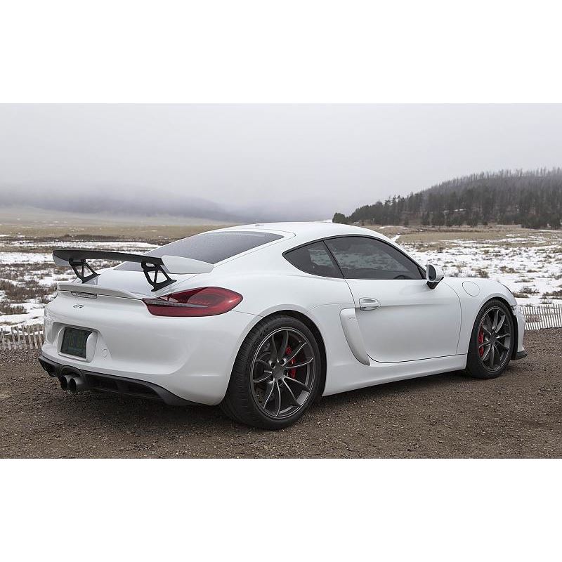 Fabspeed 981 Cayman GT4 Lightweight Competition Exhaust System (FS.POR.981GT4.CESBR)