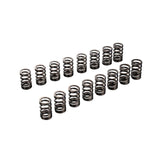 VALVE SPRING SET EJ205/EJ207/EJ255/EJ257 (TA304A-SB01A)