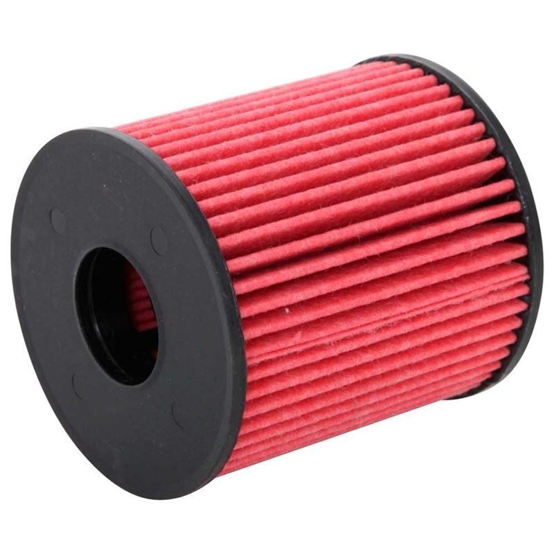 K&N Oil Filter (HP-7024)